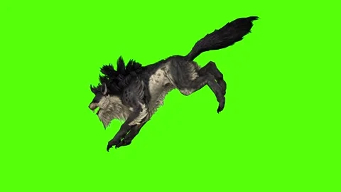 Worg Angry Green Screen Animation 4k Rendering Stock Footage 296209050