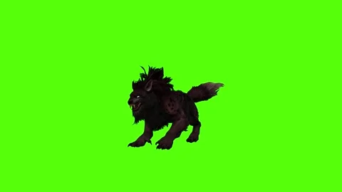 Worg Bark Green Screen Animation 4k Rendering Stock Footage 296209929