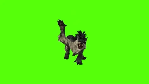 Worg Claws Attack  Green Screen Animation 4k Rendering Stock Footage 296209098