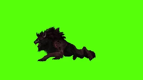 Worg Get up Green Screen Animation 4k Rendering Stock Footage 296209755