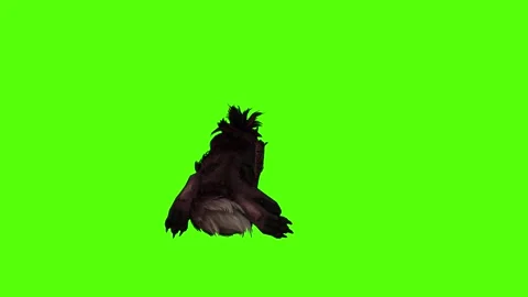 Worg Get up Green Screen Animation 4k Rendering Stock Footage 296209761