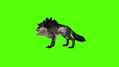 Worg Idle Green Screen Animation 4k Rendering Stock Footage 296209231