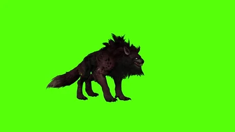 Worg Idle Green Screen Animation 4k Rendering Stock Footage 296209762