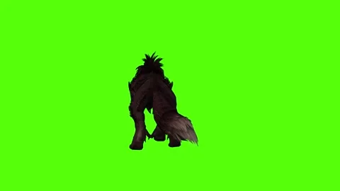 Worg Idle Green Screen Animation 4k Rendering Stock Footage 296209769