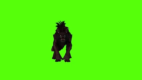 Worg Idle Green Screen Animation 4k Rendering Stock Footage 296209774