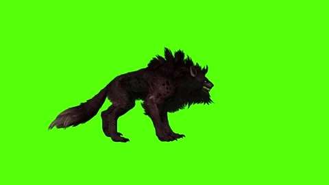 Worg Idle Green Screen Animation 4k Rendering Video stock 296209826