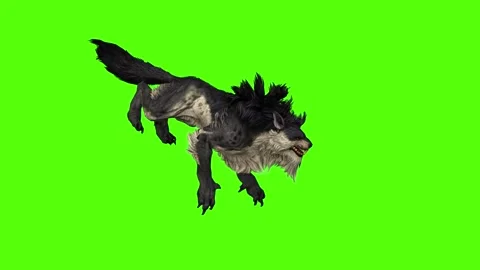Worg Jump Green Screen Animation 4k Rendering Stock Footage 296209221