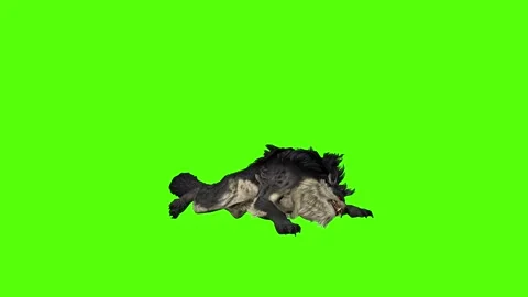 Worg Lie Down Green Screen Animation 4k Rendering Stock Footage 296209252