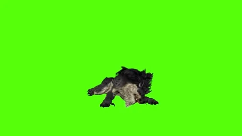 Worg Lie Down Green Screen Animation 4k Rendering Stock Footage 296209257