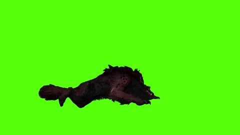 Worg Lie Down Green Screen Animation 4k Rendering Video stock 296209839