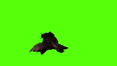 Worg Lie Down Green Screen Animation 4k Rendering Video stock 296209840