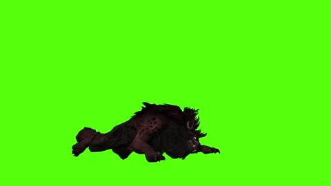 Worg Lie Down Green Screen Animation 4k Rendering Video stock 296209860