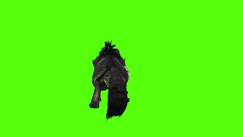 Worg Pass Out Green Screen Animation 4k Rendering Stock Footage 296209265