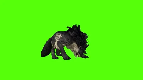 Worg Pass Out Green Screen Animation 4k Rendering Stock Footage 296209266