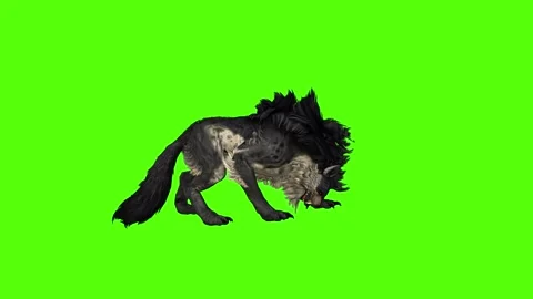 Worg Pass Out Green Screen Animation 4k Rendering Stock Footage 296209267