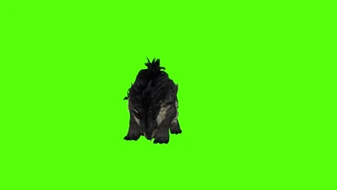 Worg Pass Out Green Screen Animation 4k Rendering Stock Footage 296209276