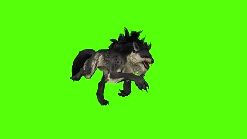 Worg Running Fast Green Screen Animation 4k Rendering Vidéo 296209288
