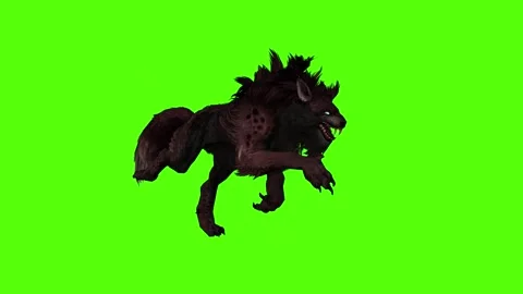 Worg Running Fast Green Screen Animation 4k Rendering Stock Footage 296210572