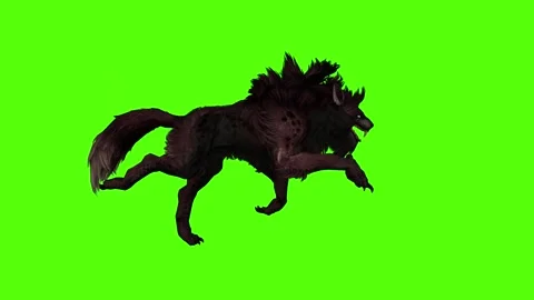 Worg Running Fast Green Screen Animation 4k Rendering Stock Footage 296210574