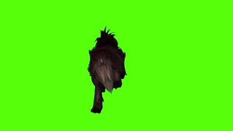 Worg Running Fast Green Screen Animation 4k Rendering Stock Footage 296210584