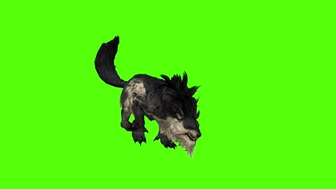 Worg Running Green Screen Animation 4k Rendering Stock Footage 296209274