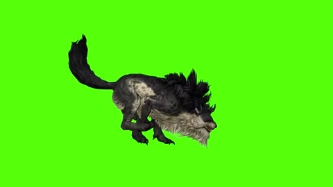Worg Running Green Screen Animation 4k Rendering Stock Footage 296209278