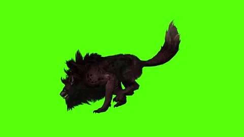 Worg Running Green Screen Animation 4k Rendering Video stock 296210524