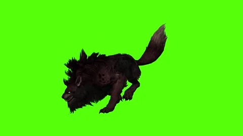 Worg Running Green Screen Animation 4k Rendering Video stock 296210526
