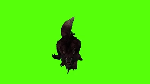 Worg Running Green Screen Animation 4k Rendering Stock Footage 296210530