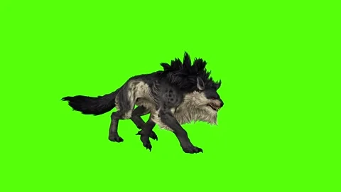 Worg Walking Green Screen Animation 4k Rendering Stock Footage 296209312