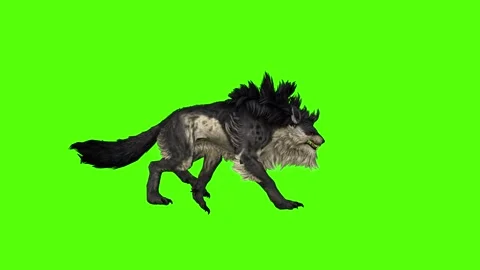 Worg Walking Green Screen Animation 4k Rendering Stock Footage 296209315