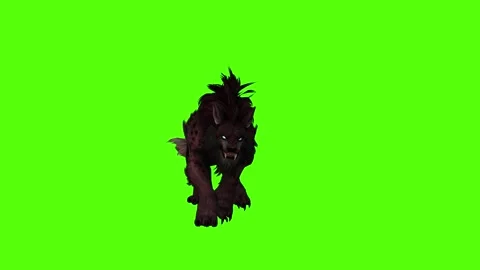 Worg Walking Green Screen Animation 4k Rendering Stock Footage 296210591