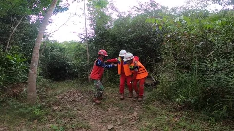 Work accident Stock Footage 219906846