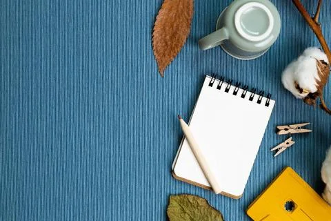 Work and study place. Winter concept. Notebook and pencil, mug cup, dry pl... Stock Photos