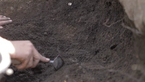  The Work Of An Archaeologist. digging ground Stock Footage 113446801