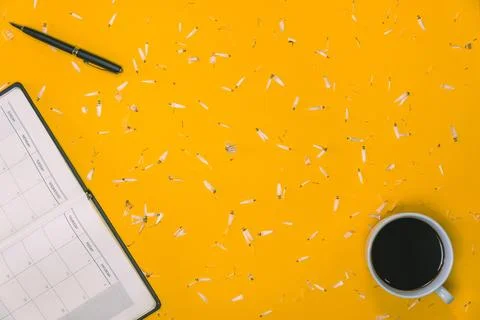 Work area Concept of coffee cups with notes book and pens with white flower.. Stock Photos