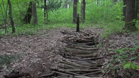 A work of art made from tree branches aligned on the ground to create the shape Stock Footage 315756360