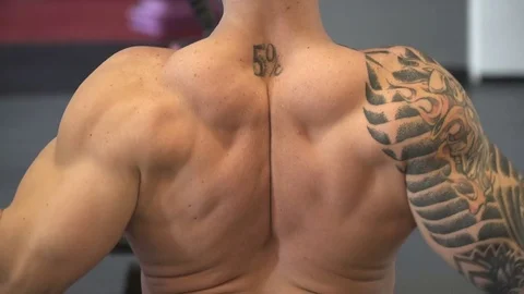 The work of the back muscles Stock Footage 73919190