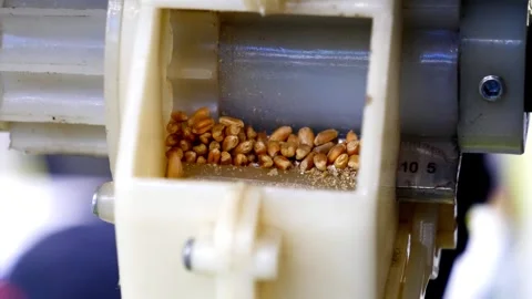The work of the batcher of sowing grain crops Stock Footage 249525454
