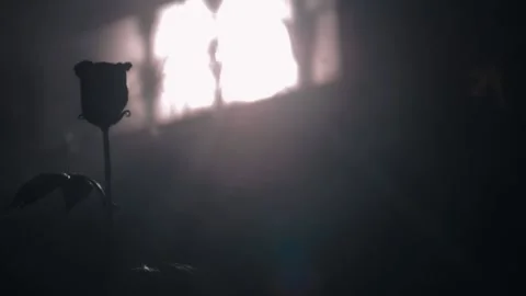 The work of a blacksmith rose. metal rose in the rays of the sun from the window Vidéo 133078048
