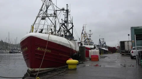 WORK BOATS IN SCOTLAND Stock Footage 67891880