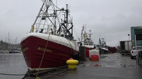 WORK BOATS IN SCOTLAND Stock Footage 67891982