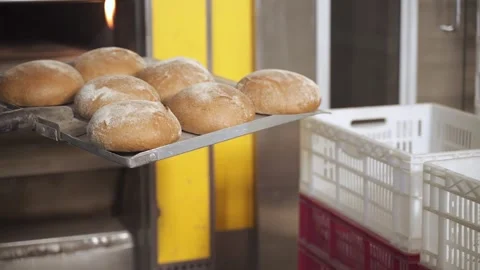Work at the bread production factory close up. Stock Footage 164401640