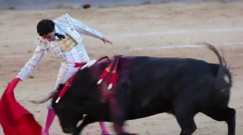 Work bullfighter with bull. Close-up Stock Footage