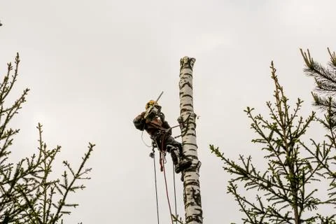 Work chainsaw on top. Stock Photos