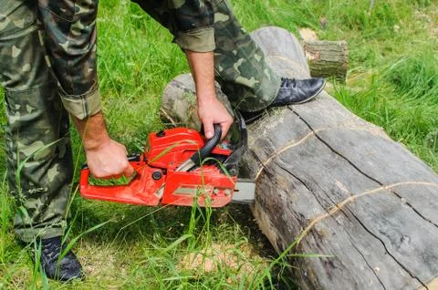 Work with the chiansaw Stock Photos