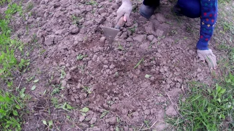 Work as a chopper for manual processing of garden beds in the village Видео 193645993