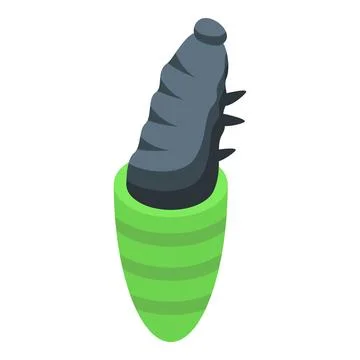 Work from cocoon icon isometric vector. Silkworm biology Stockillustratie