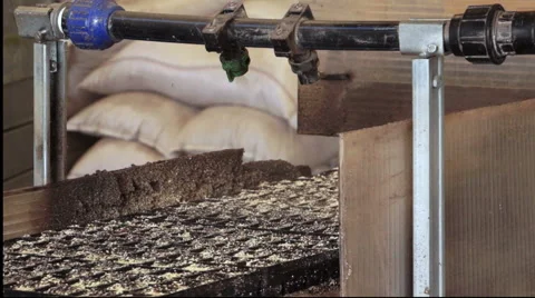 Work on the conveyor close-up Video stock 46477716