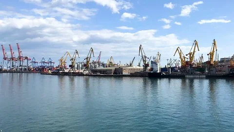 Work of cranes in seaport Stock Footage 81591968